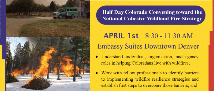 Wildland Fire Strategy/Convening Group Event Flyer