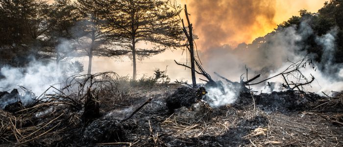 Wildfire in Colorado