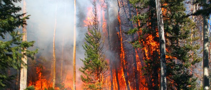 California: Aspen Fire - Wildfire Today