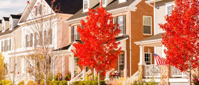 Homes close in proximity to one another with fall trees out front