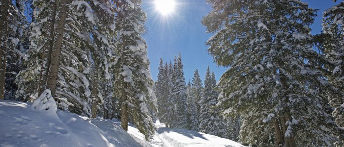 Winter Mountain Trail. Colorado Mountain Trail Under the Snow. Breckenridge Colorado Area. Beautiful Sunny and Cold February Day.