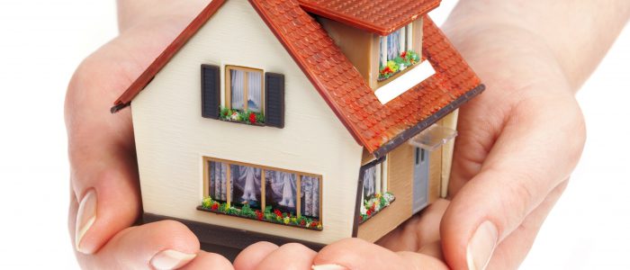 The house in human hands