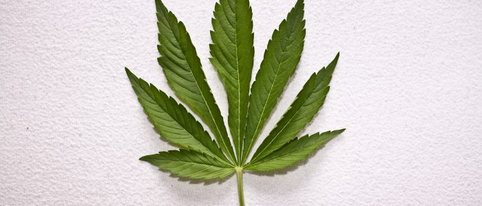marijuana