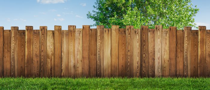 spring tree in backyard and wooden garden fence
